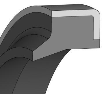 Picture of Wiper AM43 100x110x10x7 FKM 136463
